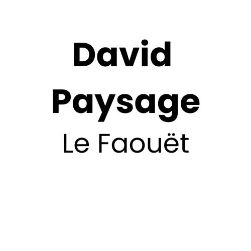 David Paysage