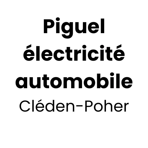 Piguel électricité